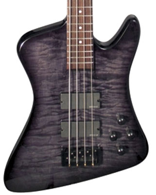 Rex Brown Signature 4-String Spector Professional Series Bass