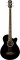 Washburn AB5BK Acoustic/Electric Bass Guitar with Case Included and Black Finish
